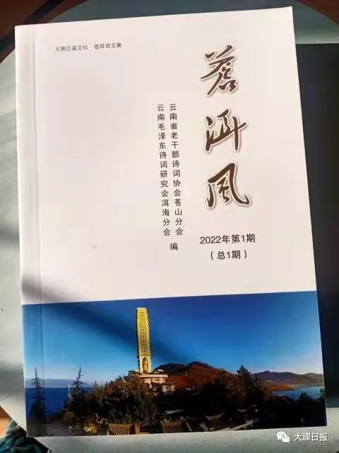 大理日报