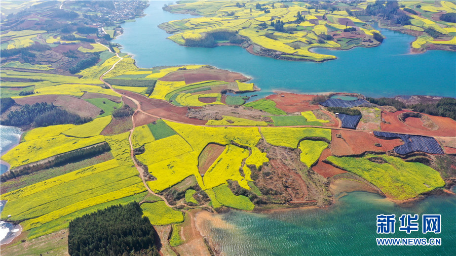 云南省文化和旅游厅