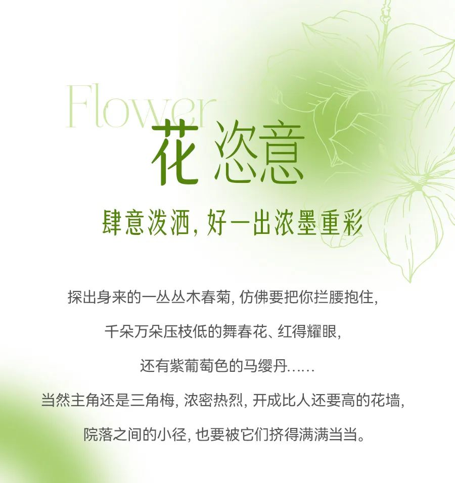 德宏团结报