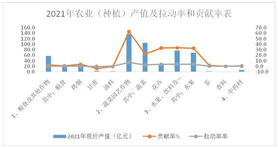 玉溪市人民政府