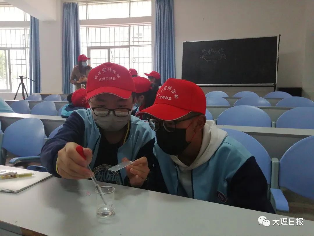 大理日报