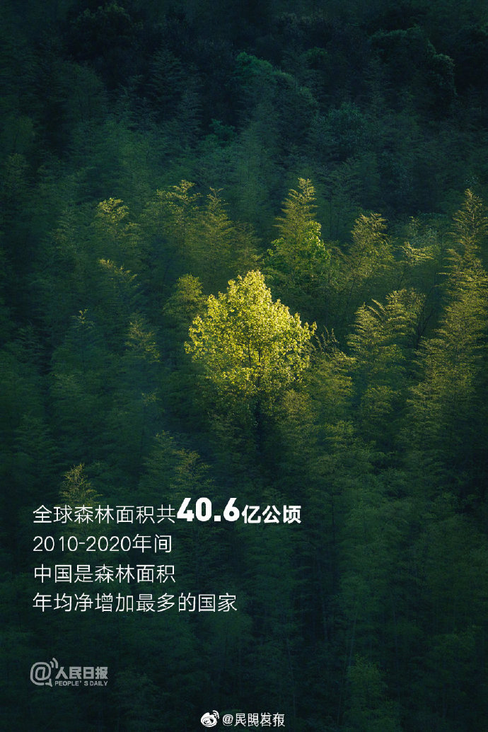 昆明发布