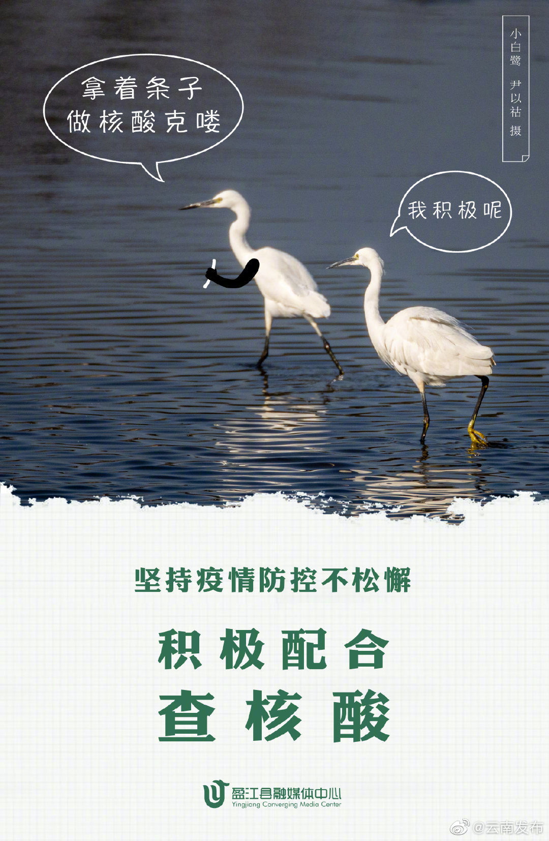“云南发布”微博