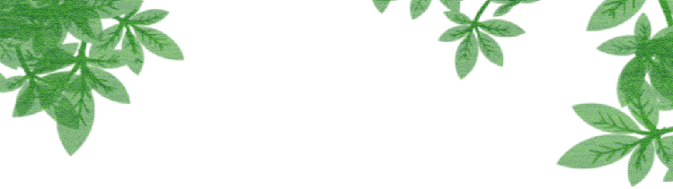 保山新闻网