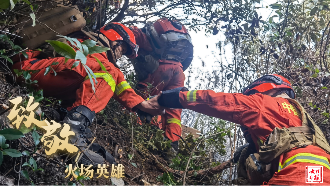 大理日报