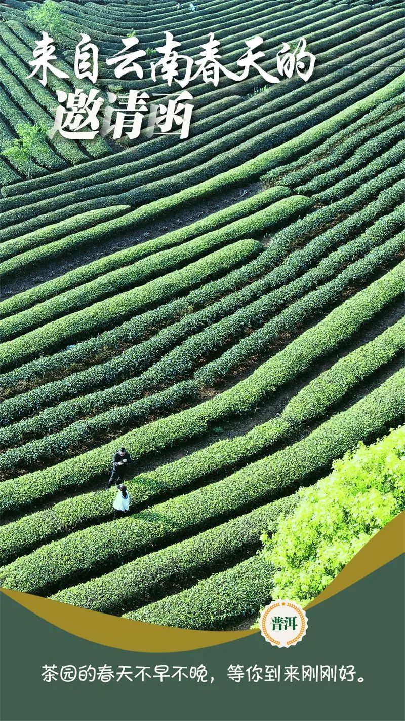 文旅云南