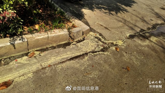 昆明信息港