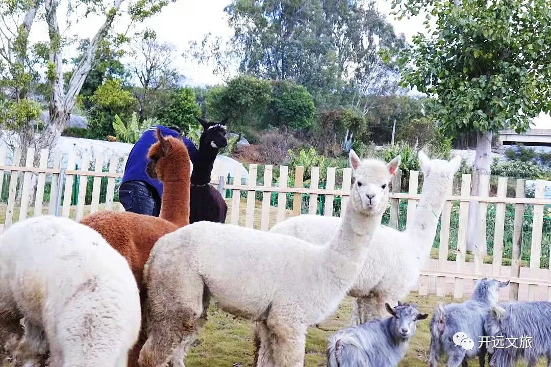 红河文旅