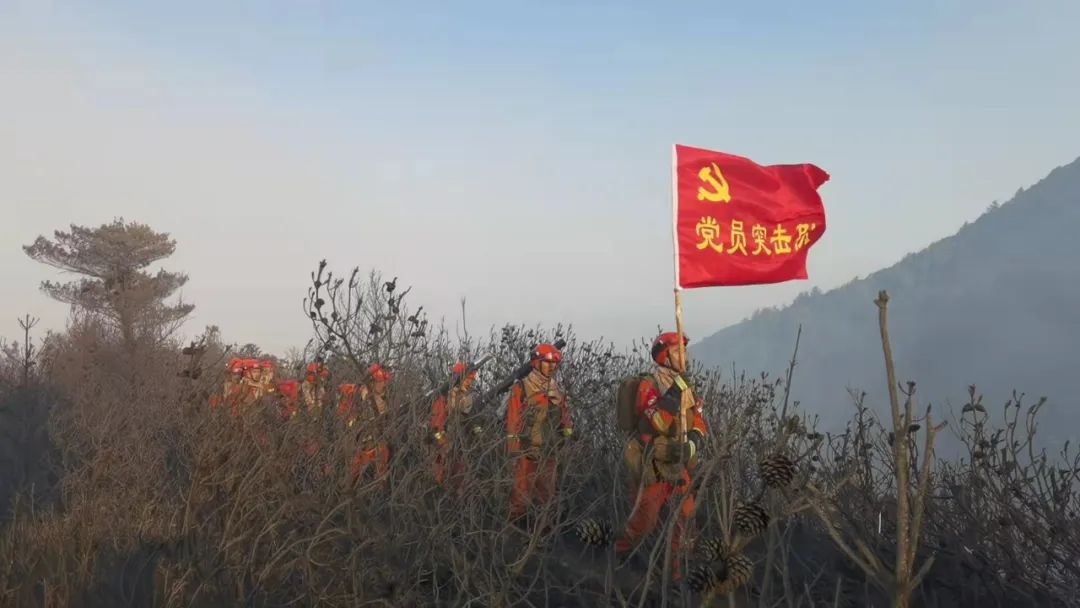 云南法制报