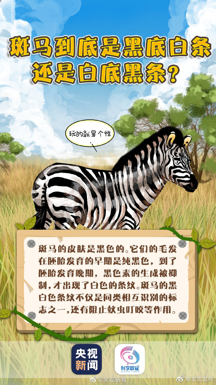呈贡发布