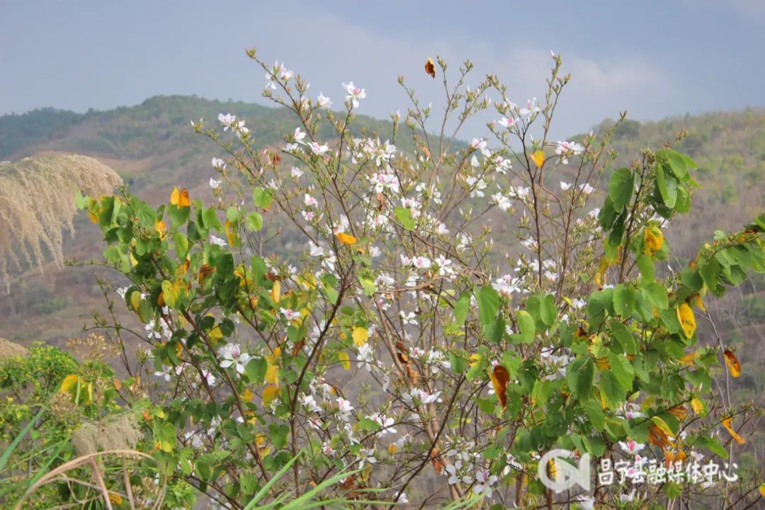 保山新闻网