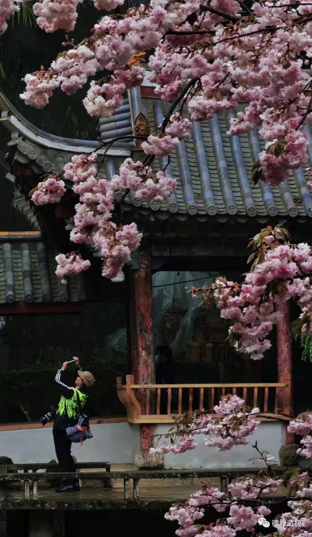918云南交通台(微信)