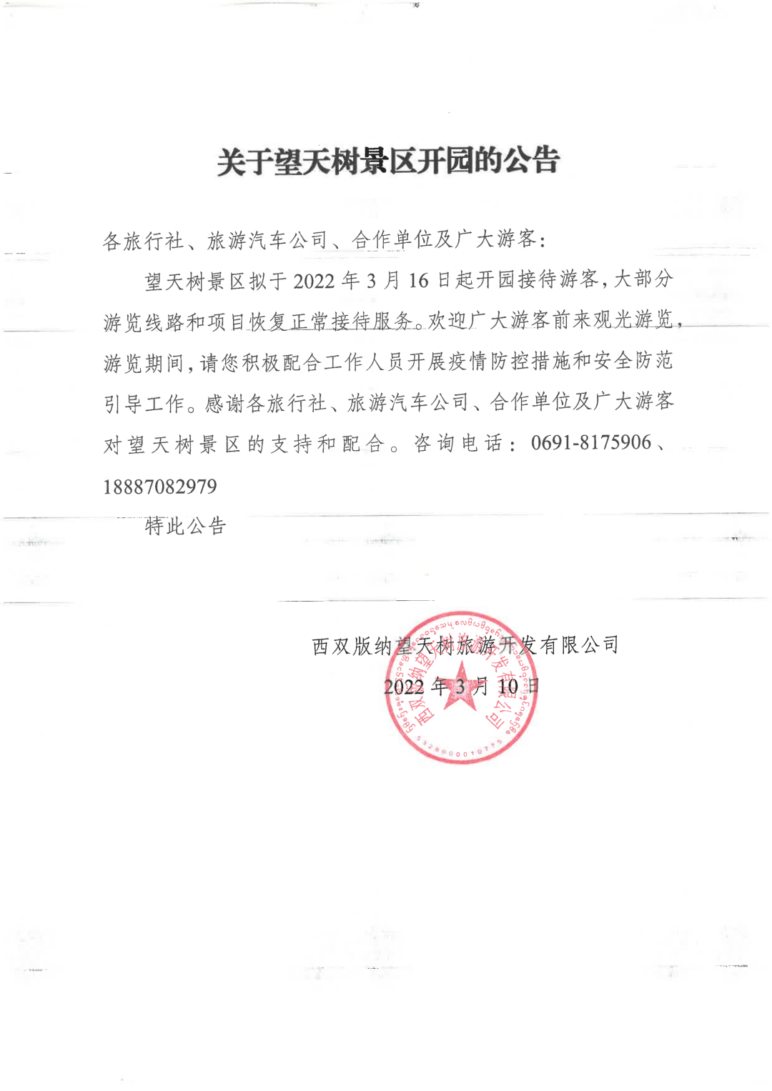 西双版纳望天树景区