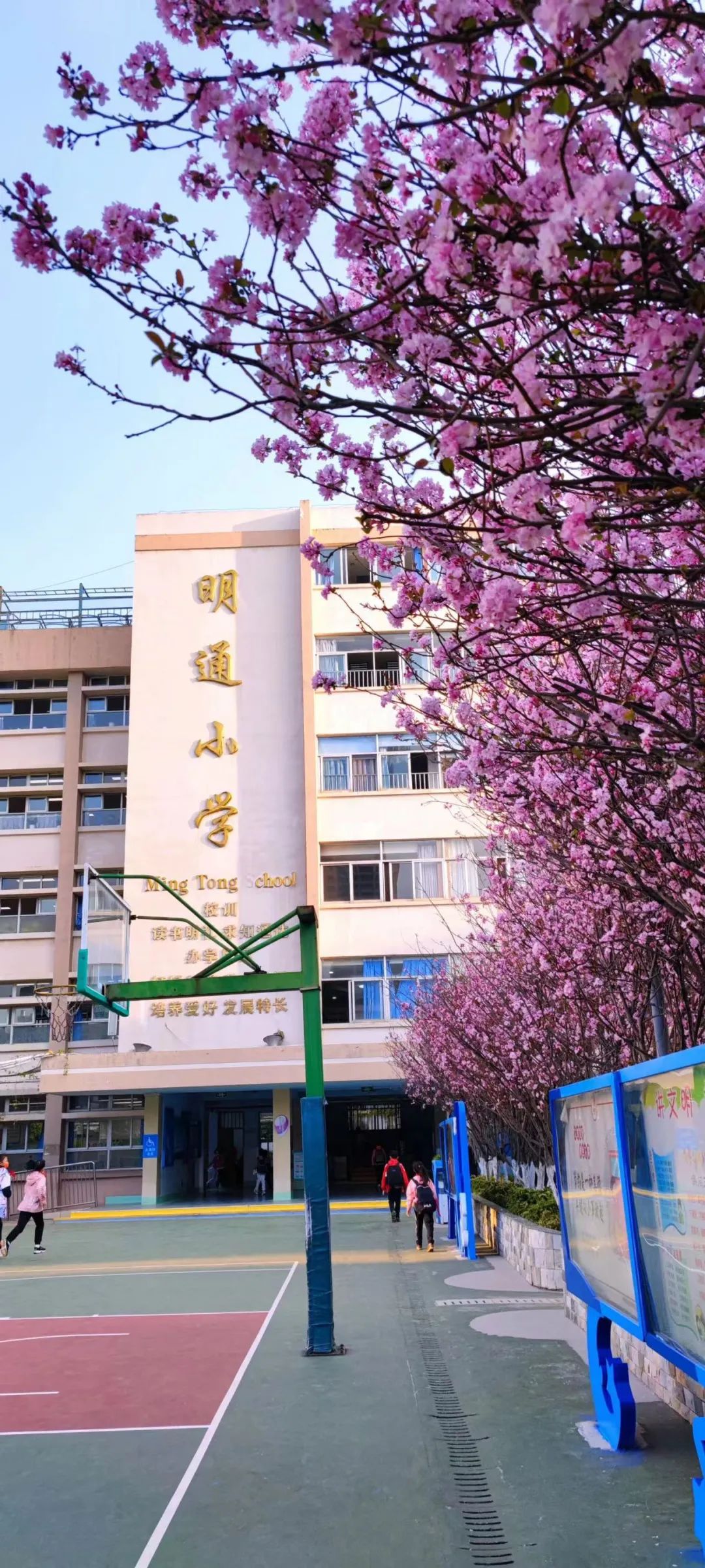 盘龙教育(微信)