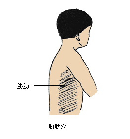 蒙自中医