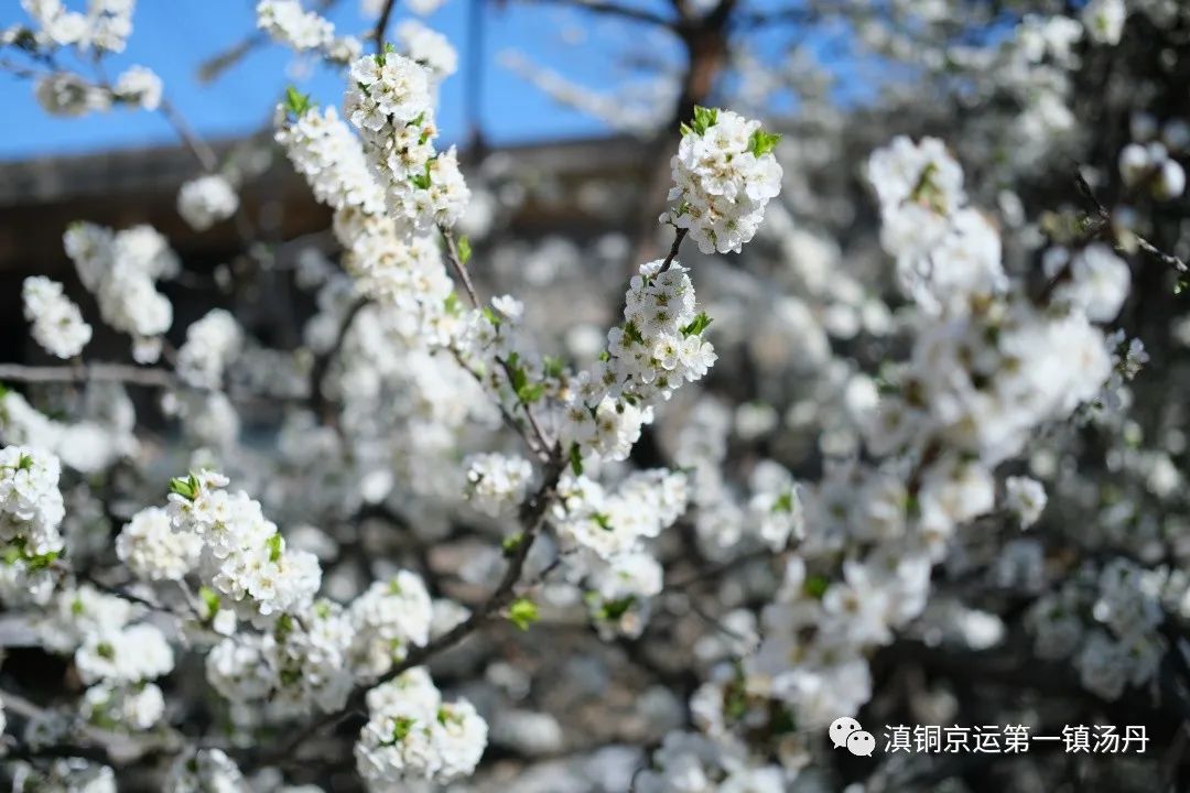 东川发布(微信)
