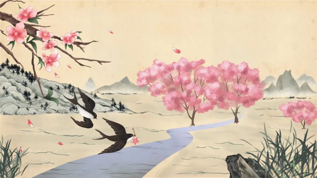 大理电视台
