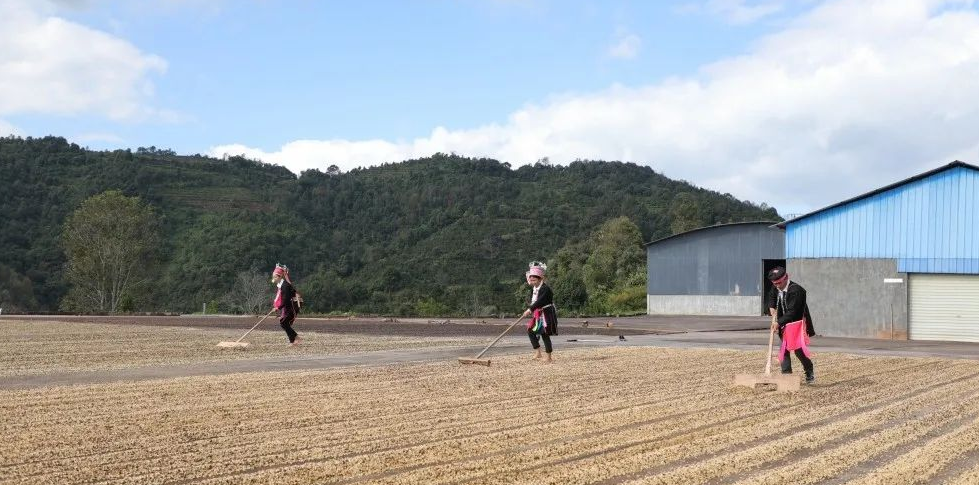 普洱日报