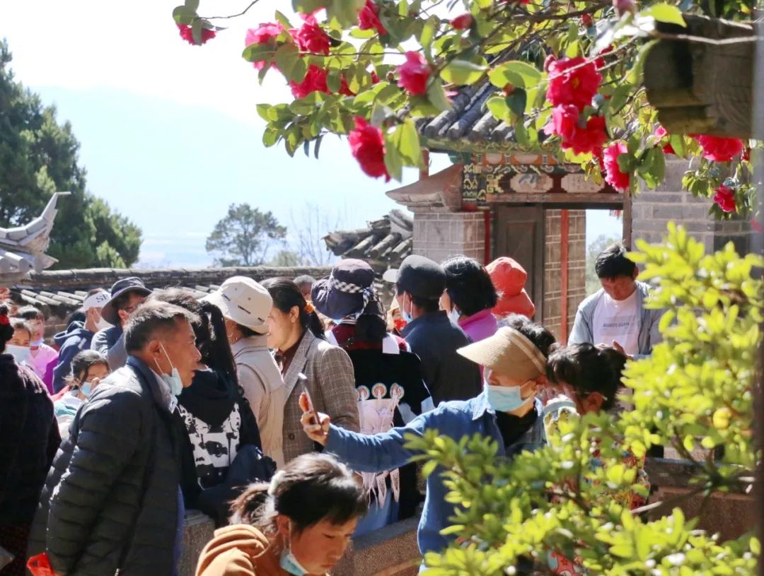 微丽江