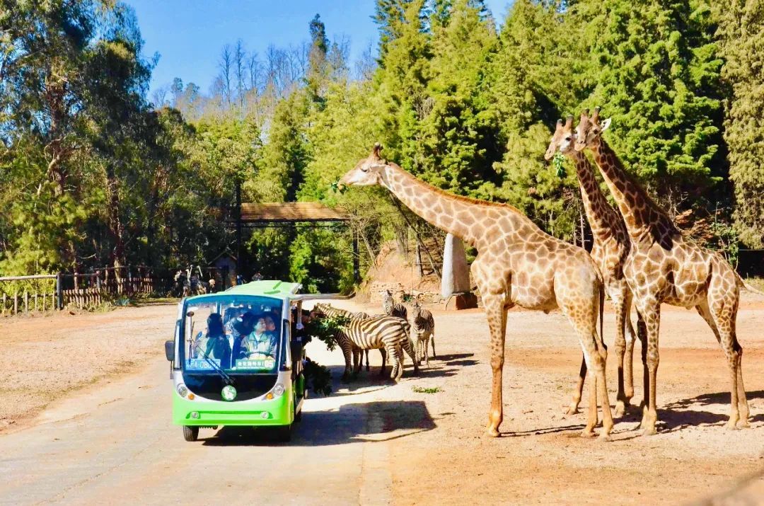 云南野生动物园