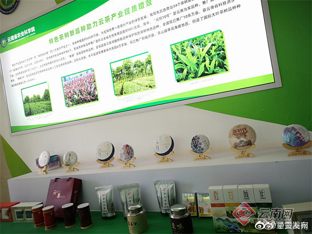 呈贡发布
