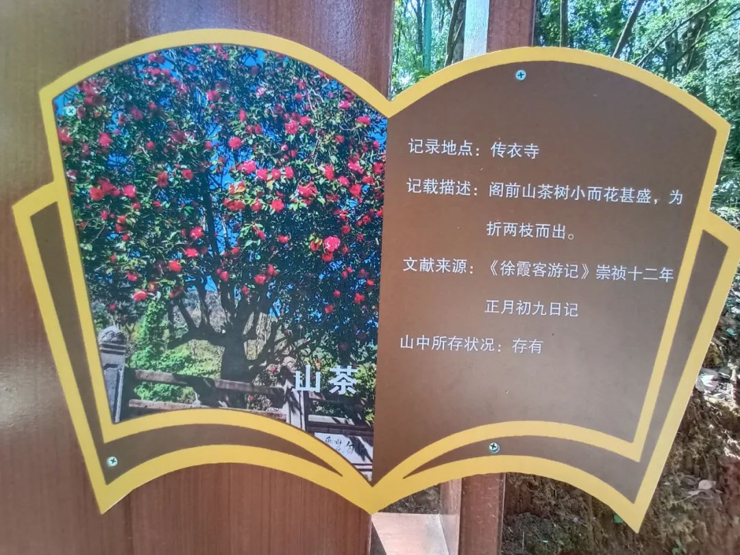 大理电视台