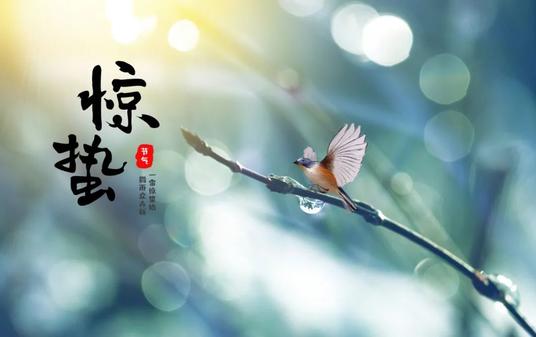 大理电视台