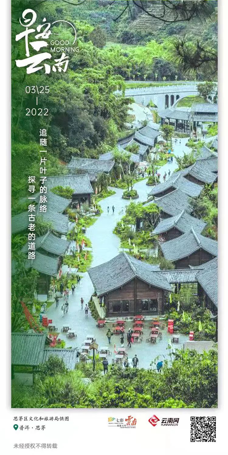 云南省人民政府网