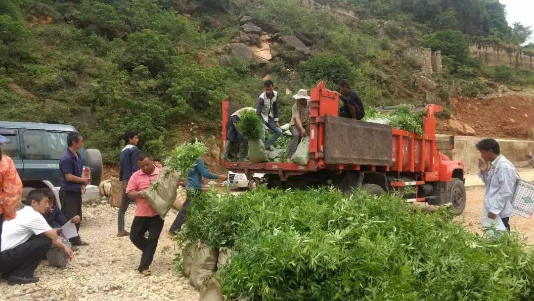 丽江日报