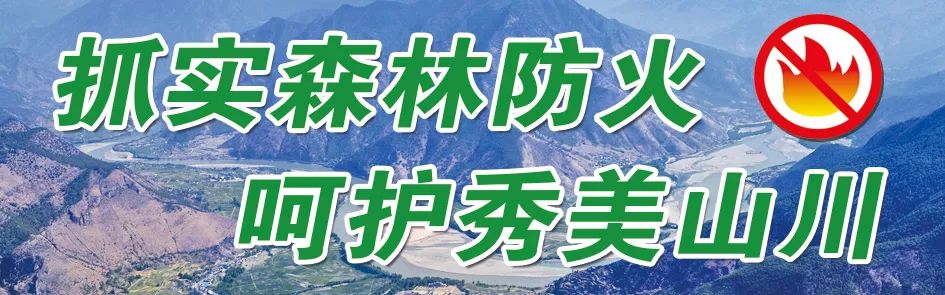 丽江日报