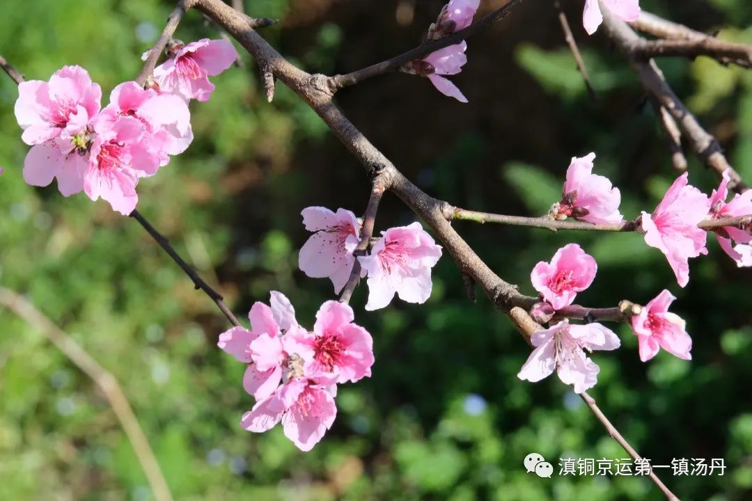 东川发布(微信)