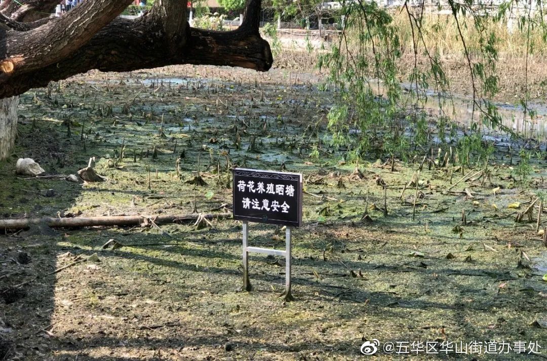 五华区华山街道办事处