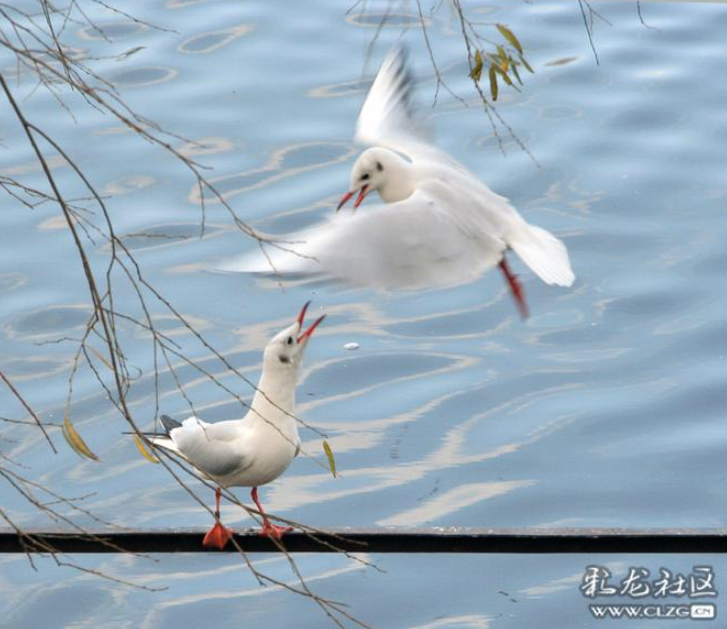 文明昆明