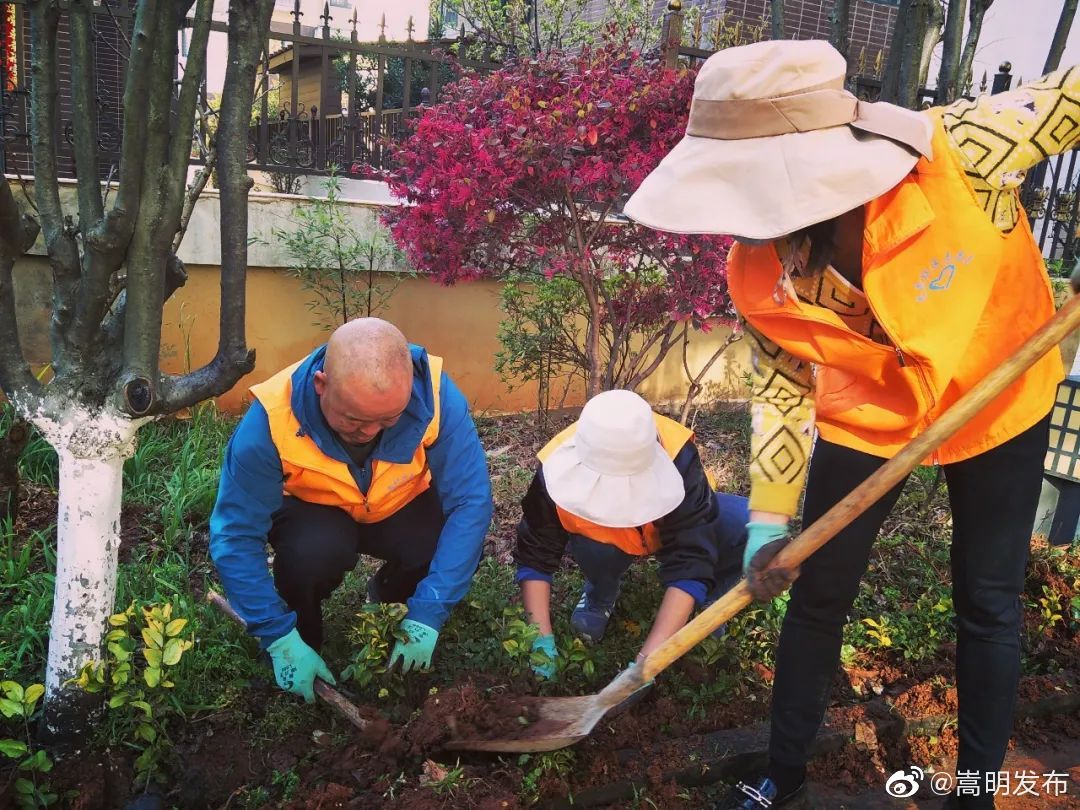 嵩明发布