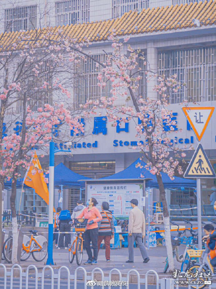 昆明发布