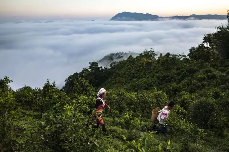 文旅云南