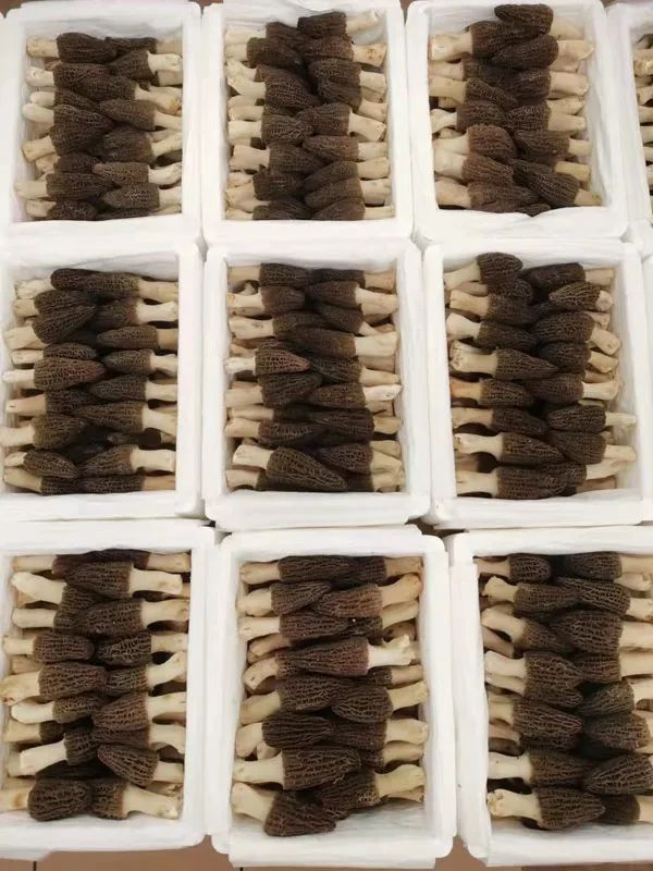 昆明市农业农村局