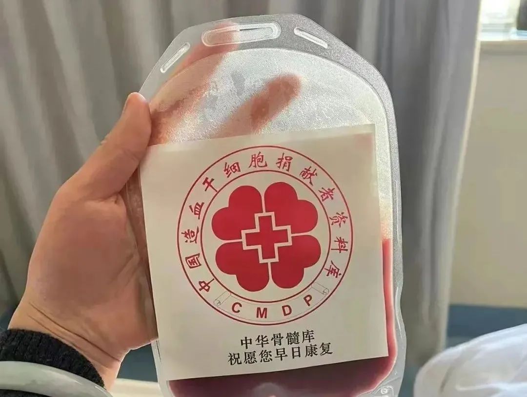 大理日报