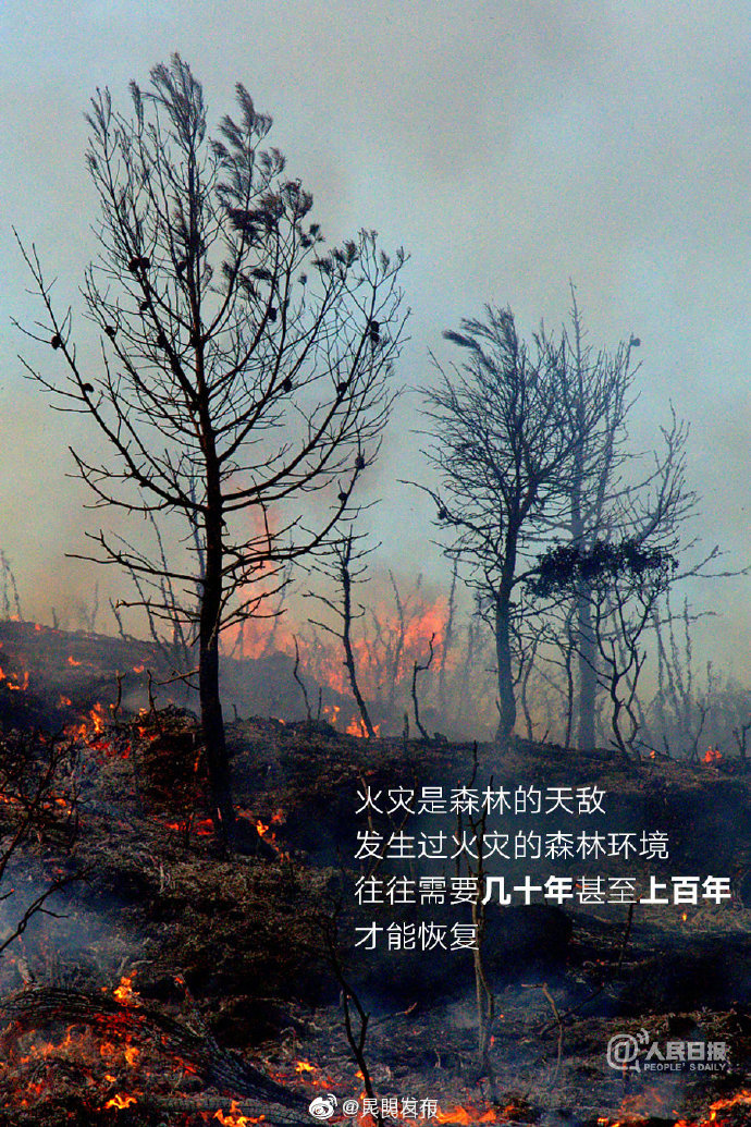 昆明发布