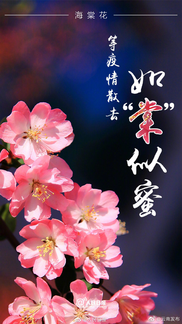 “云南发布”微博