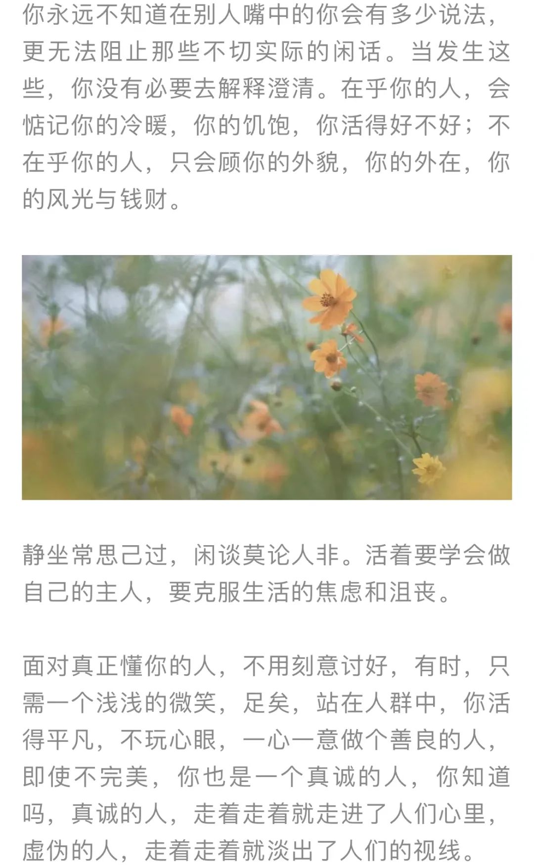 红色扎西