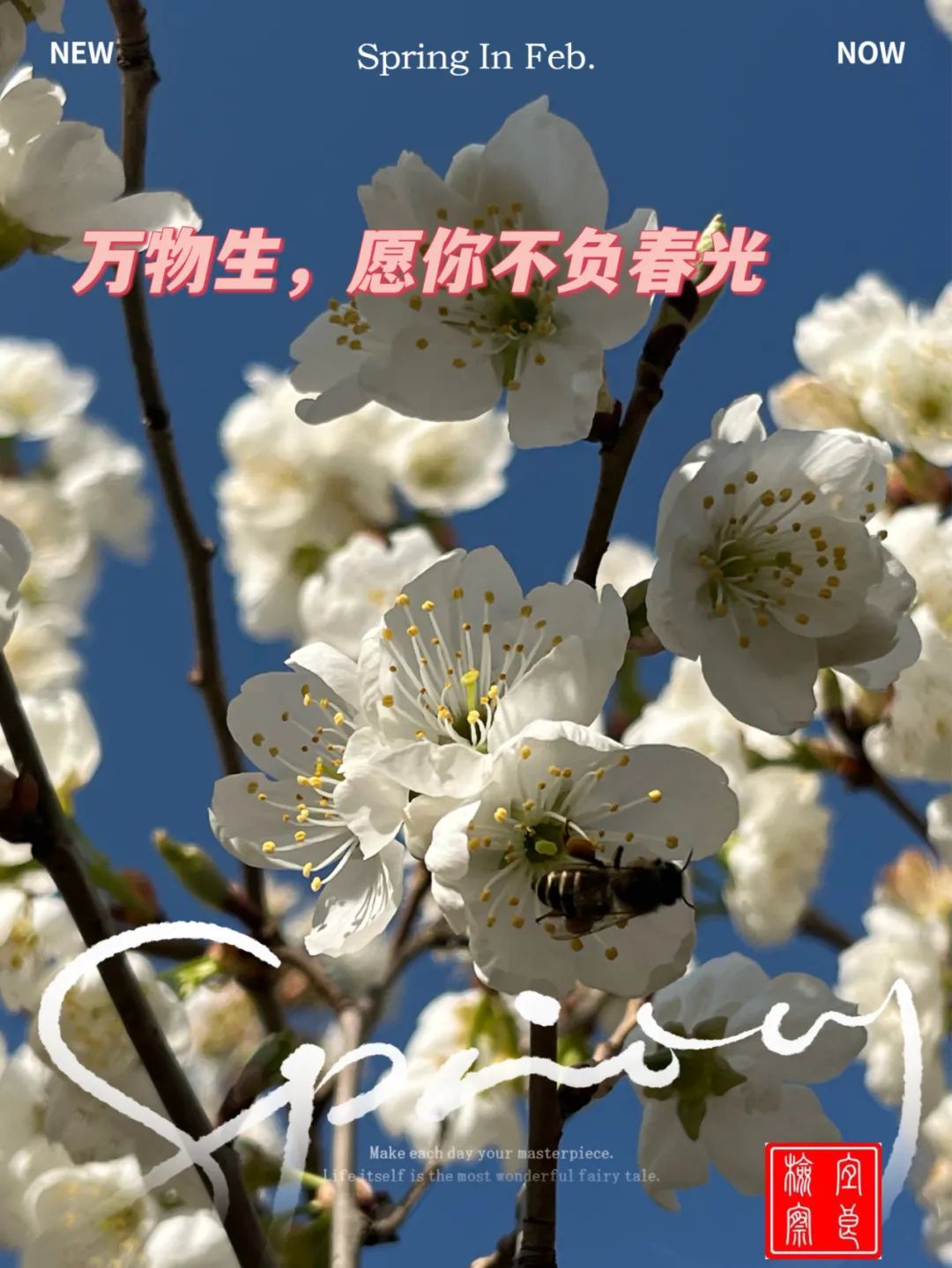 宜良检察(微信)