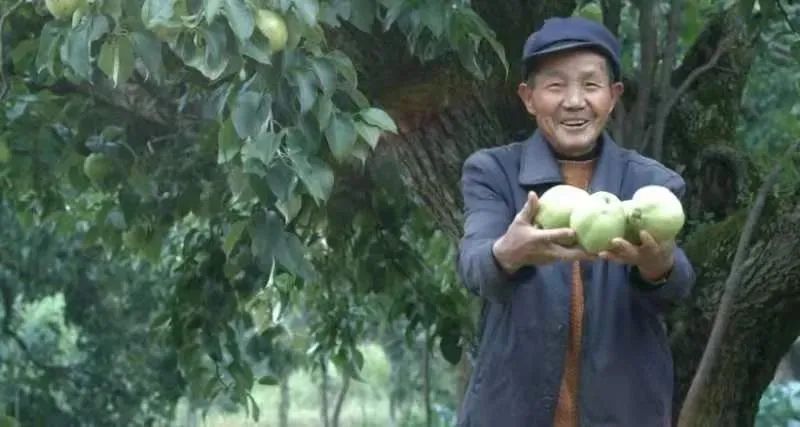 昆明生态环境