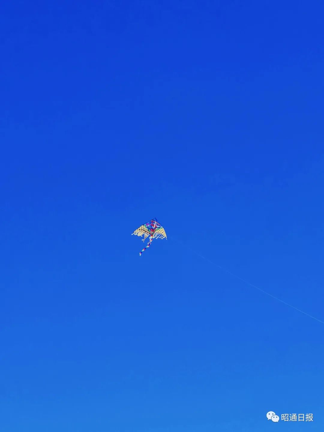 昭通日报