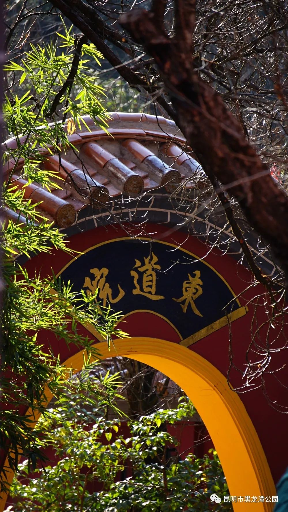 昆明市黑龙潭公园