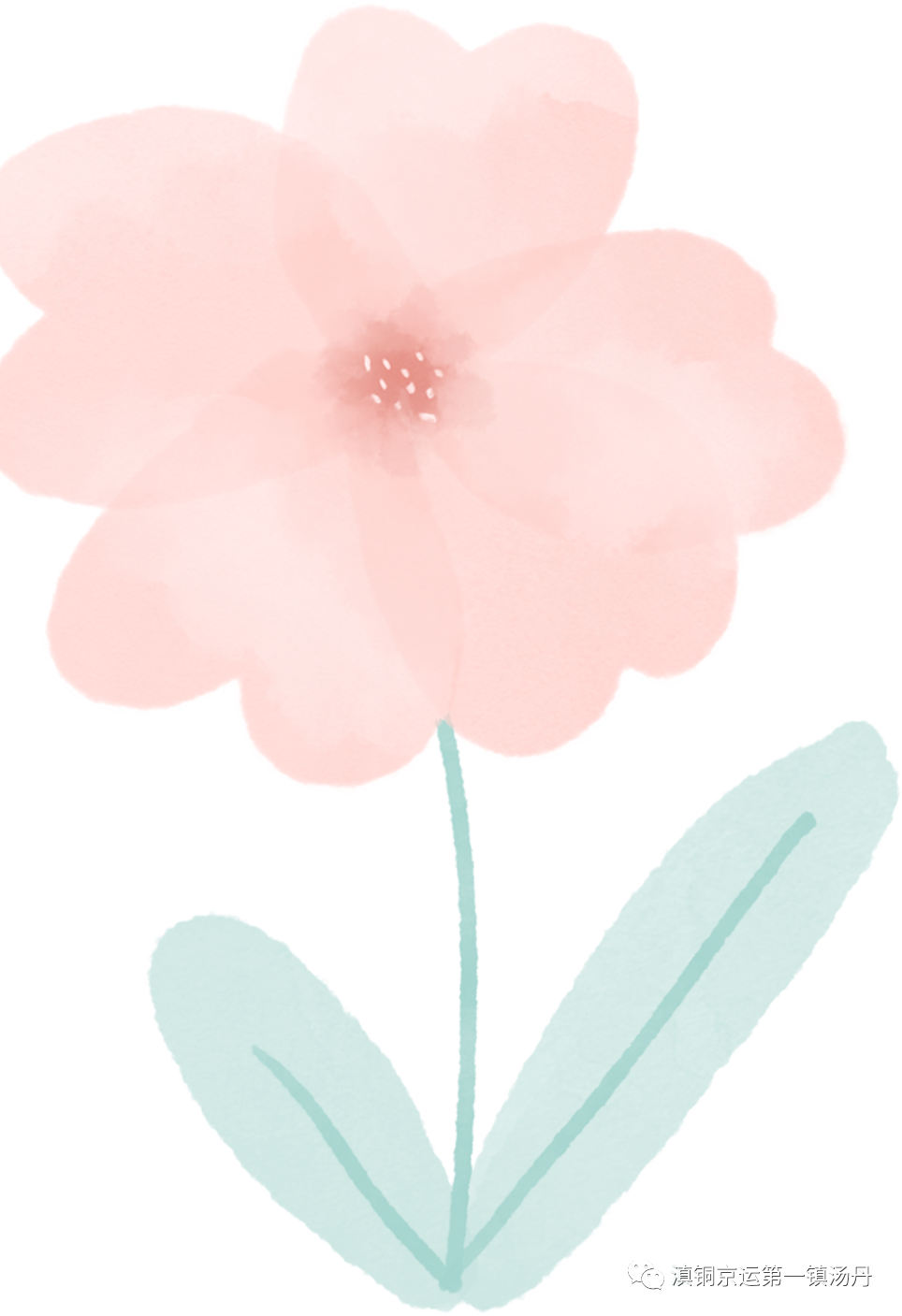东川发布(微信)