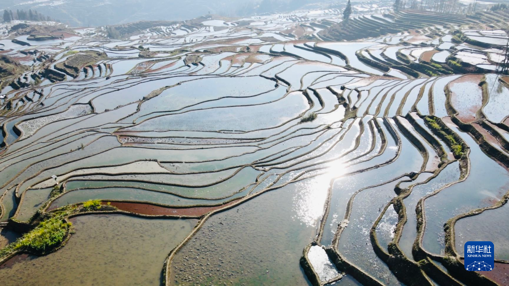 云南省文化和旅游厅