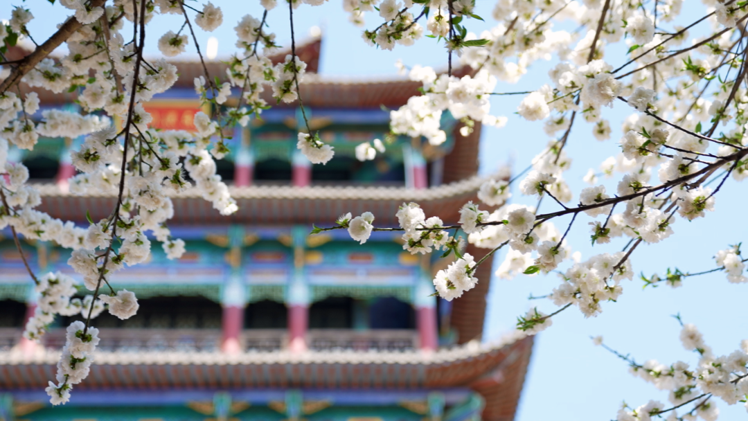昆明市呈贡区人民法院(微信)