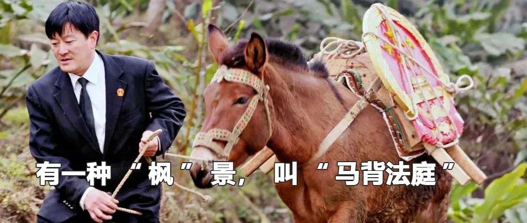 云南政法