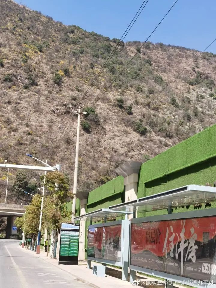 掌上春城微信公众号